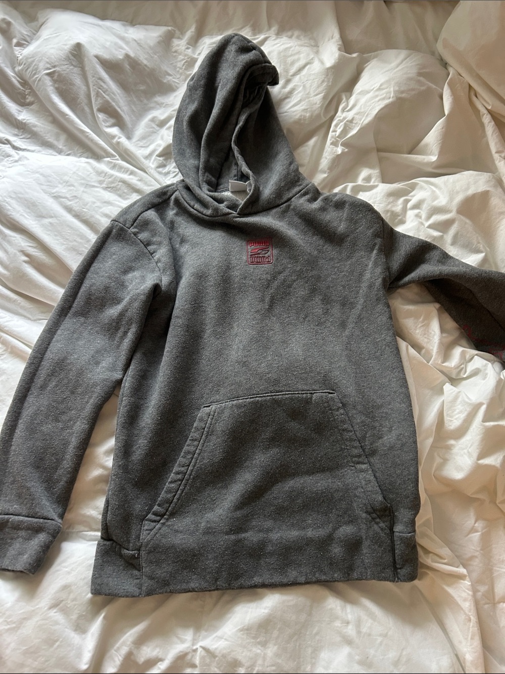 Puma Gray Hoodie with Small Red Logo